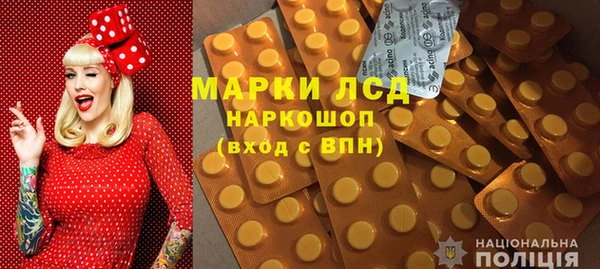 гашик Богданович