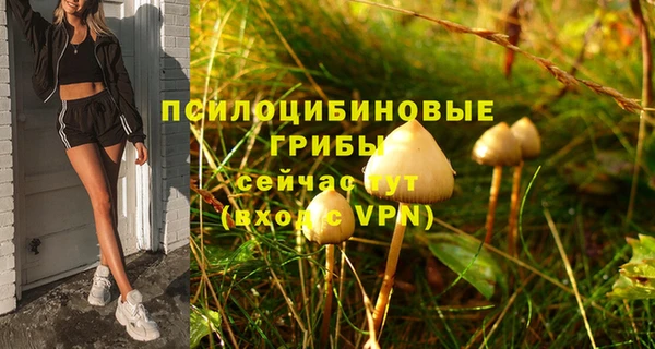 мдма Богородск