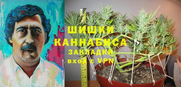 гашик Богданович