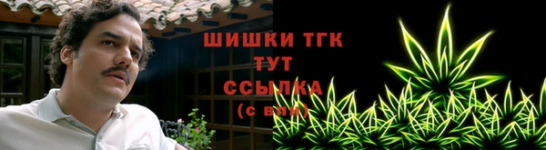 гашик Богданович