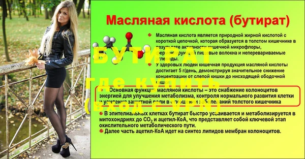 гашик Богданович