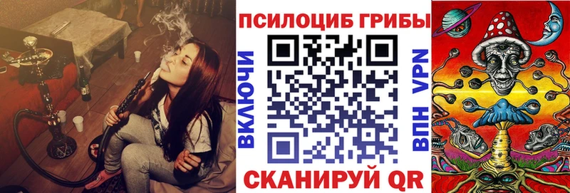 kraken сайт  Светогорск  Галлюциногенные грибы Cubensis 